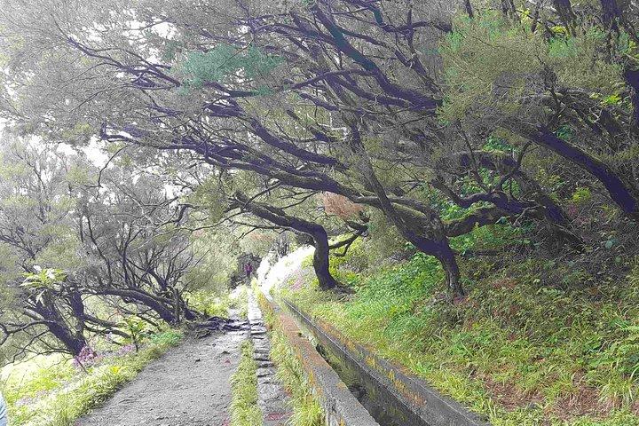 Privat guidet gåtur Levada 25 Fontes