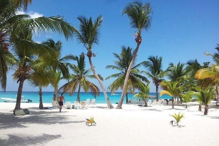 Saona Platina Beach Day