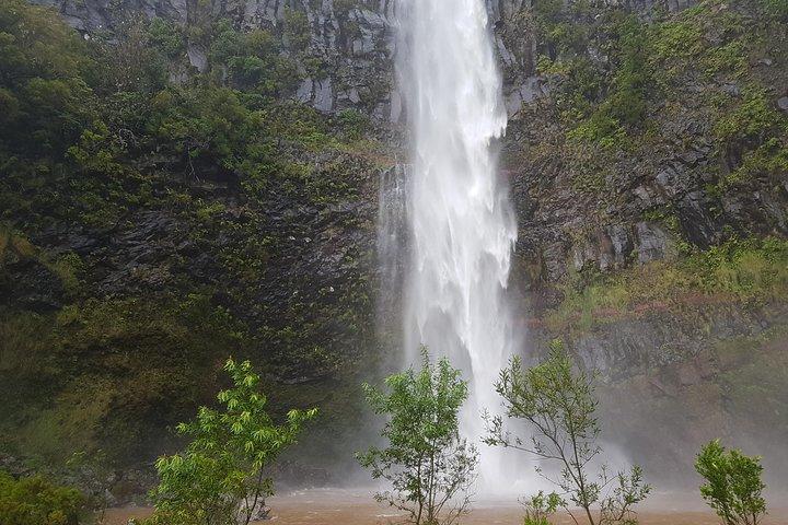 Privat guidet gåtur Levada Alecrim