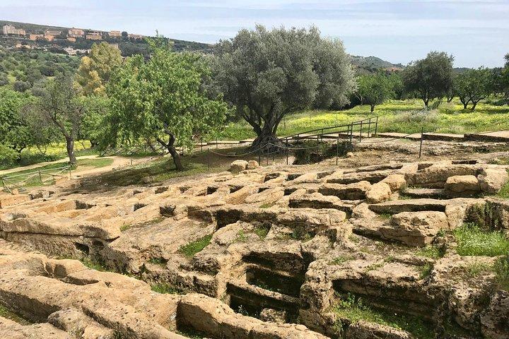 AGRIGENTO - VALLEY OF TEMPLES Private Tour with Guide Driver