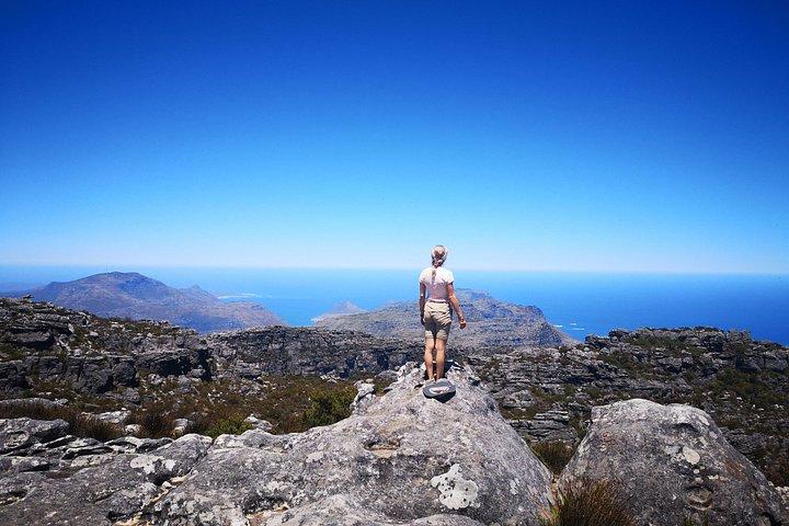 Table Mountain Half Day Hike: Platteklip Gorge