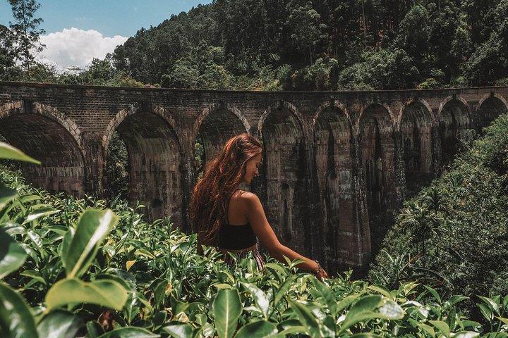 Day Excursions to Horton Plains & Local Train Experience from Ella