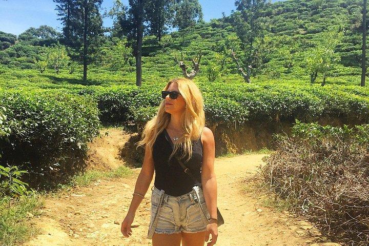 Day Excursions to Horton Plains & Local Train Experience from Ella