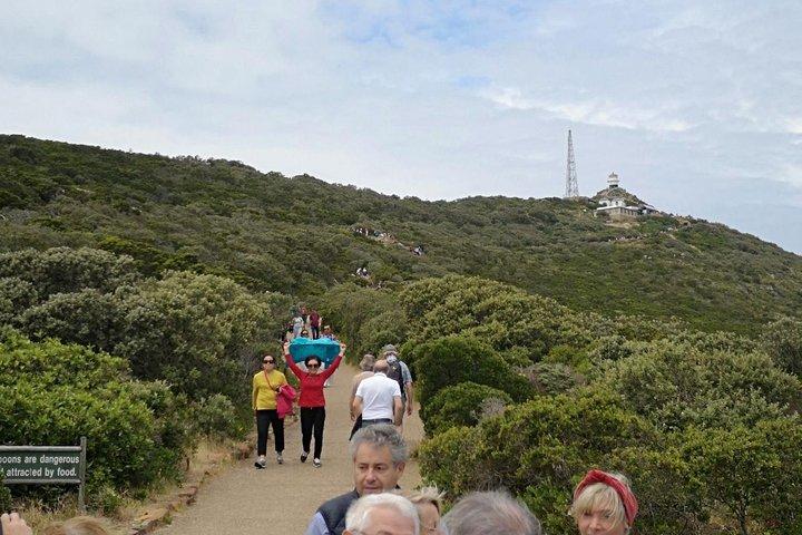 Visite privée du cap de Bonne-Espérance Cape Point Penguin Kirstenbosch.