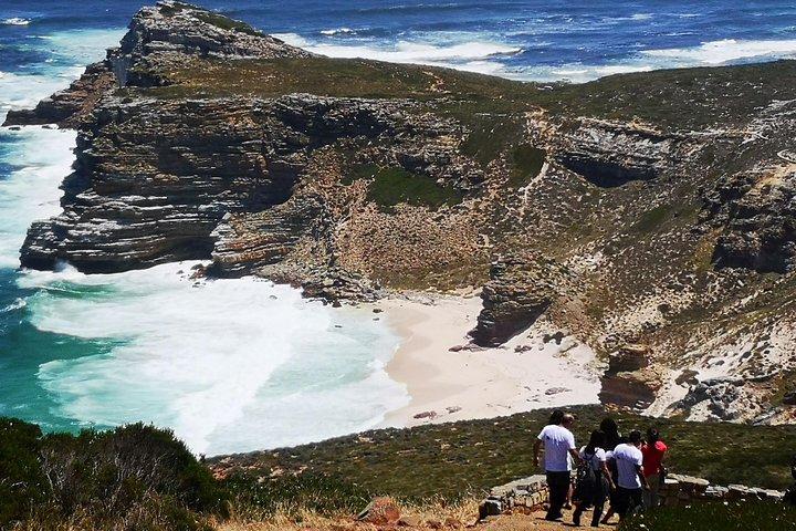 Visite privée du cap de Bonne-Espérance Cape Point Penguin Kirstenbosch.