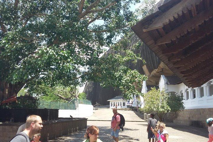 sigiriya dabulla one day tour