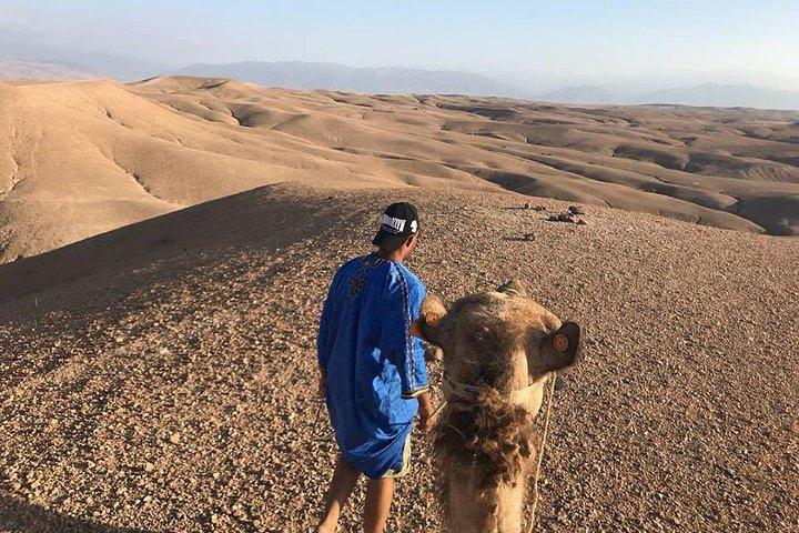Agafay Desert & Atlas Mountains Day Trip from Marrakech