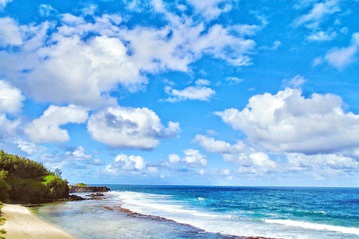 Tour privato del South Mauritius: fabbrica del tè, parco naturale e costa selvaggia del sud