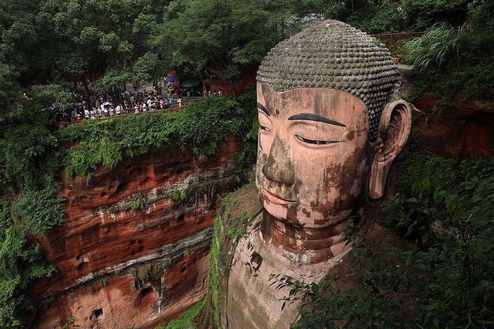 Fra Chengdu: Panda Base og Giant Buddha på en dag