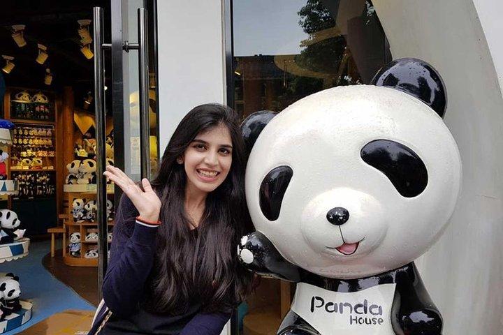 Tour Panda Private Day à Chengdu