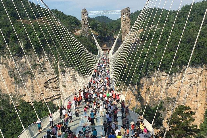 Private Tagesausflug von Zhangjiajie National Forest Park und Glasbrücke