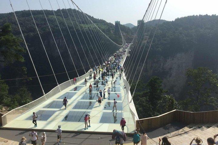Private Tagesausflug von Zhangjiajie National Forest Park und Glasbrücke
