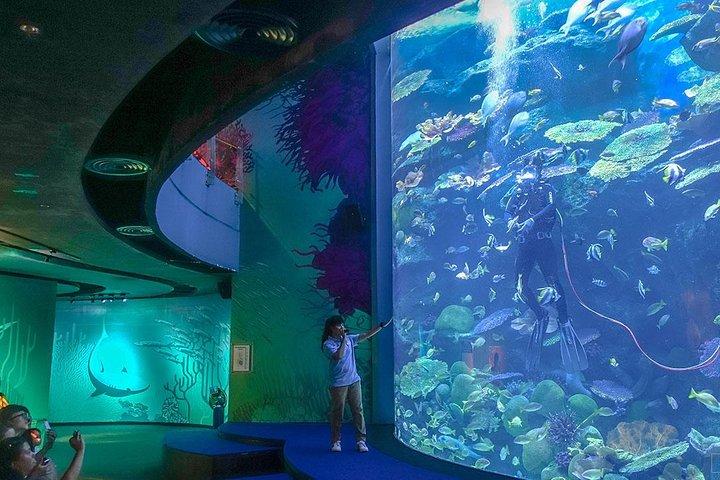 Entrada SEA LIFE Bangkok Ocean World com transferência privada