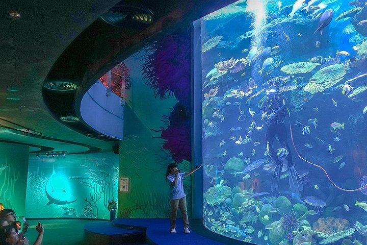 バンコクSEA LIFE＆マダムタッソー館コンボ＆ホテル送迎付き