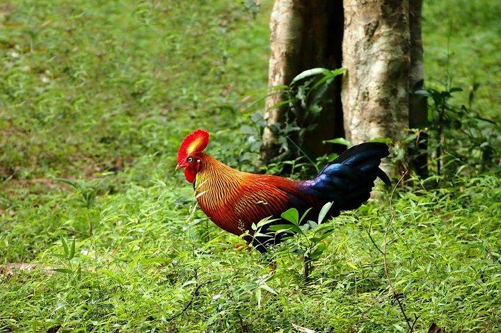 ニッポンからヴィルパッツ国立公園への日帰り旅行