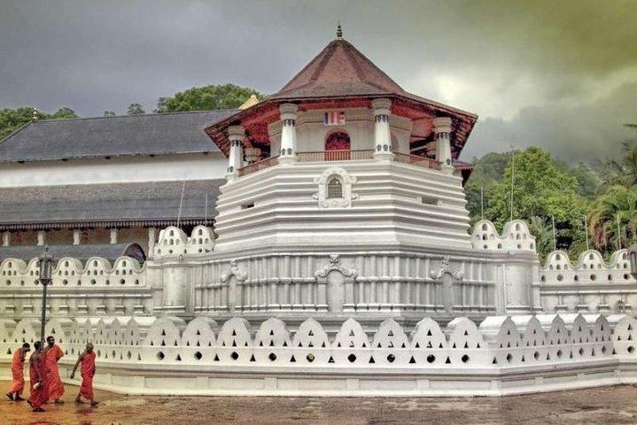 Entdecken Sie Sri Lanka in einer achttägigen Tour