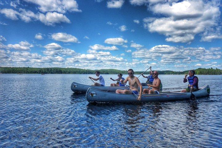 Excursion d'une journée au parc provincial Algonquin au départ de Toronto