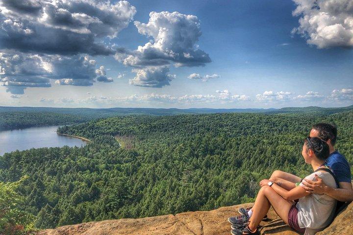 Excursion d'une journée au parc provincial Algonquin au départ de Toronto