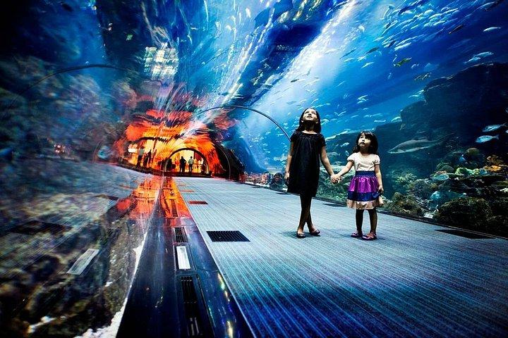 半日ドバイ市内観光とドバイ水族館水中動物園訪問