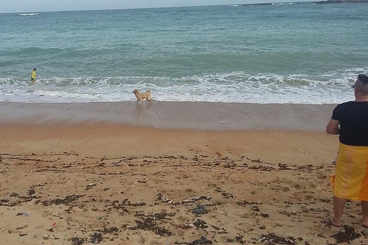 From Colombo: Full-Day Galle Tour