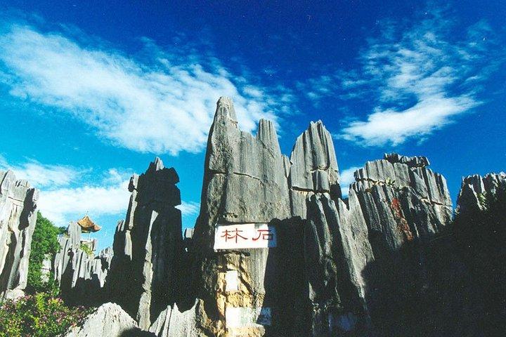 Excursion d'une journée privée: Kunming Highlight of Stone Forest