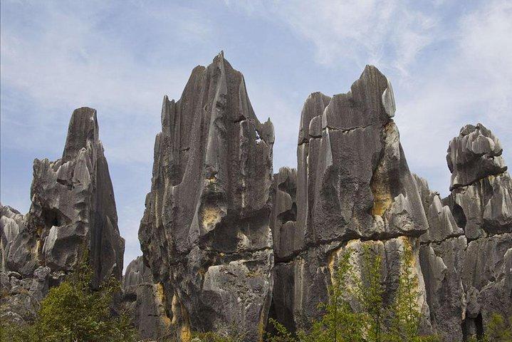Excursion d'une journée privée: Kunming Highlight of Stone Forest