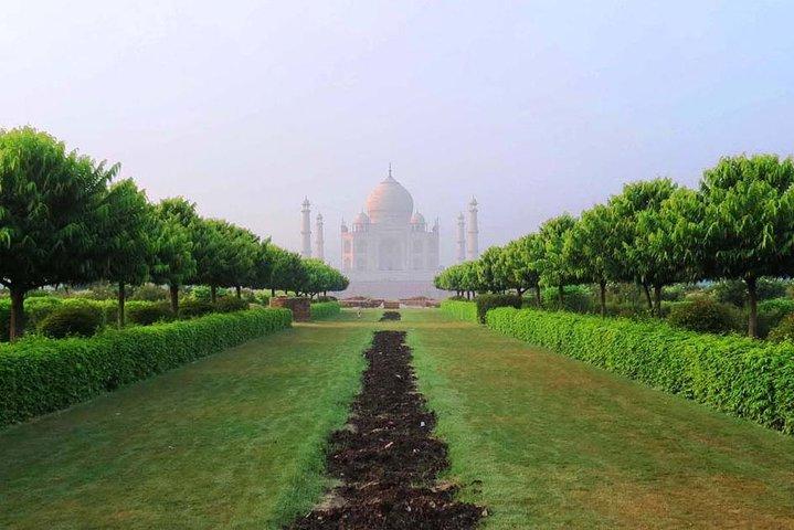 Agra Tour Com Taj Mahal e Agra Fort