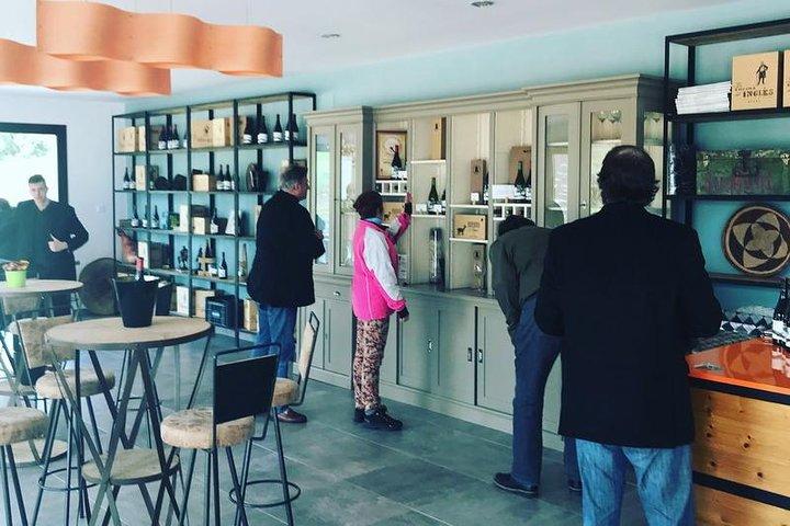 Ronda Private Wine Tour e Tapas de Marbella