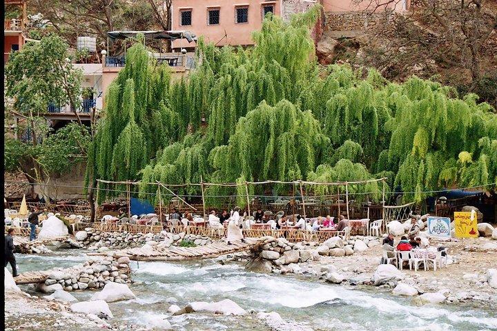 Da Marrakech: gita di un giorno alle montagne dell'Atlante della valle di Ourika