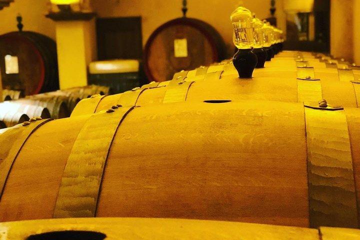 Privé top Brunello Montalcino wijntour & sessie met bijpassende gerechten