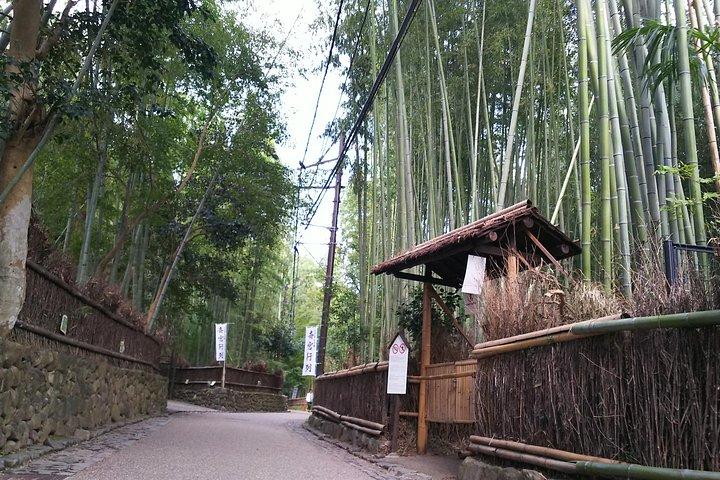 京都・奈良2 日帰りツアー : ゴールデンパビリオン、東大寺、鹿公園