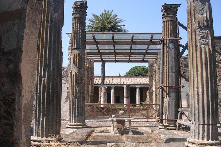 Half Day Morning Tour of Pompeii från Sorrento