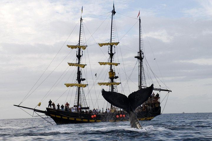 ロスカボスのクジラウォッチング海賊船クルーズ