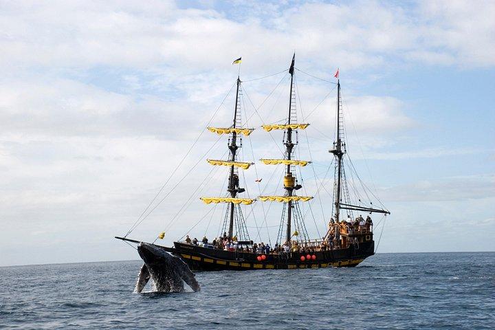 ロスカボスのクジラウォッチング海賊船クルーズ