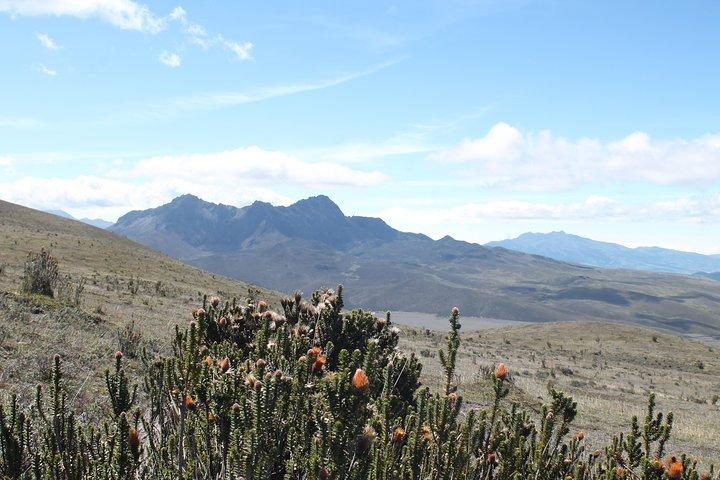 Vulcão Cotopaxi (Viagem Privada de um dia saindo de Quito)