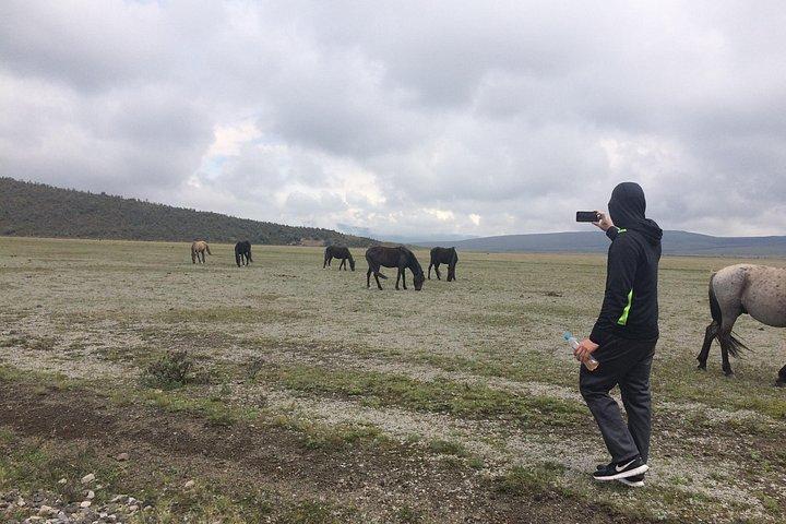Vulcão Cotopaxi (Viagem Privada de um dia saindo de Quito)