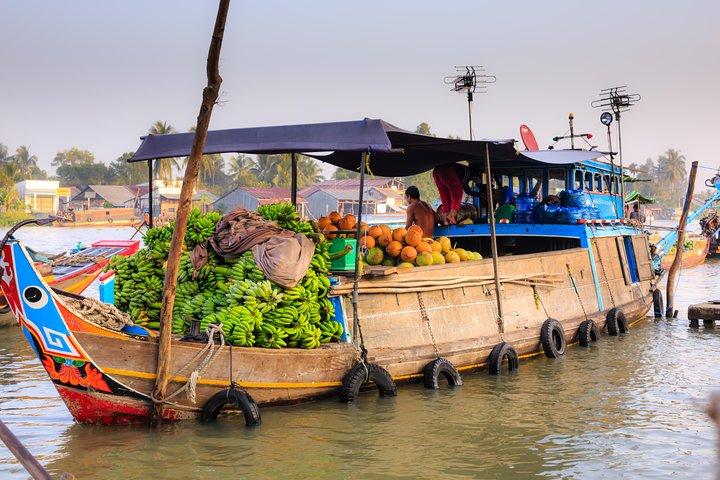 Excursão privada ao Delta do Mekong a partir do porto de Hiep Phuoc, cidade de Ho Chi Minh