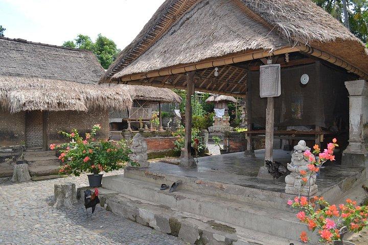 Ubud traditionelle ture