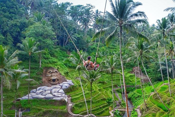 Ubud traditionelle ture