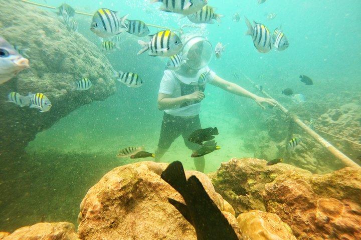 Bali Parasailing Adventure