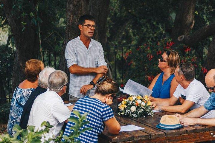 Dégustation de vin et d'huile d'olive