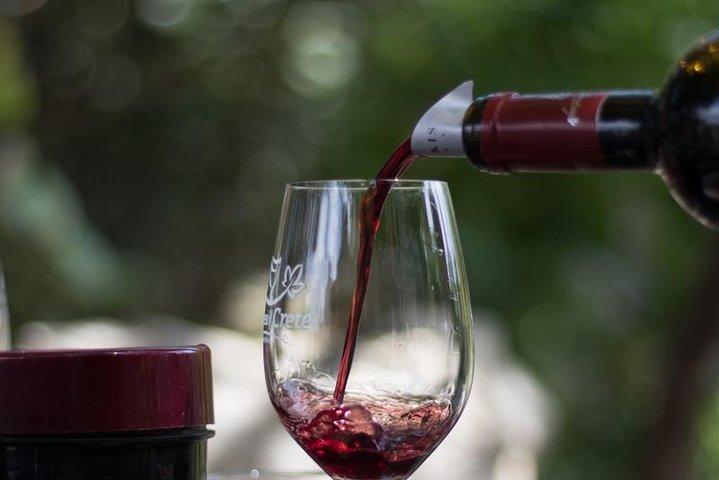 Dégustation de vin et d'huile d'olive