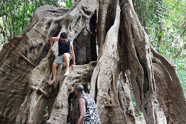 Excursão à uma aldeia indígena e encontro das águas