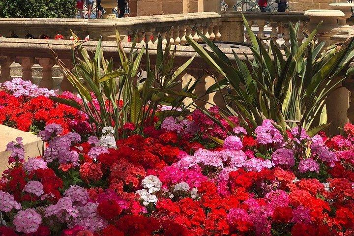 Den originale Valletta Walking Tour