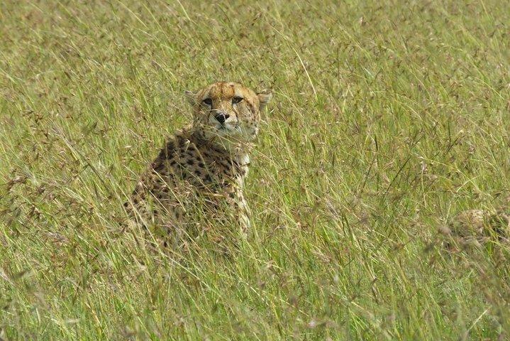 1 nat Amboseli National Park