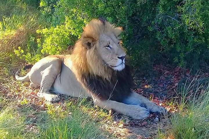 Chobe Day Trip