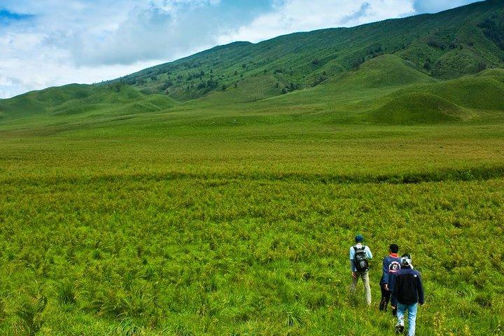 Pacote Bromo Tour: Midnight Bromo Open Trip de Malang