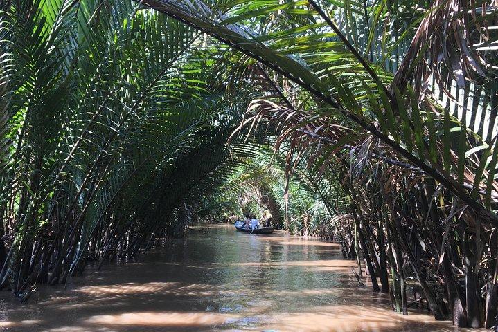 Cu Chi Tunnels en de Mekong Delta: Privédagtour met gids