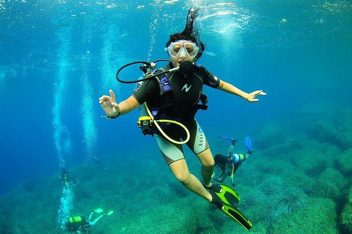 Baptismo de mergulho e snorkeling em Ibiza