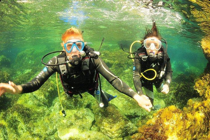 Baptismo de mergulho e snorkeling em Ibiza